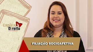 Explica Direito Filiação Socioafetiva  2019 [upl. by Ralat]