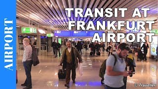 TRANSIT WALK AT FRANKFURT Airport FRA Terminal 1  Connection Flight Transfer Arriving amp Departing [upl. by Aibos124]